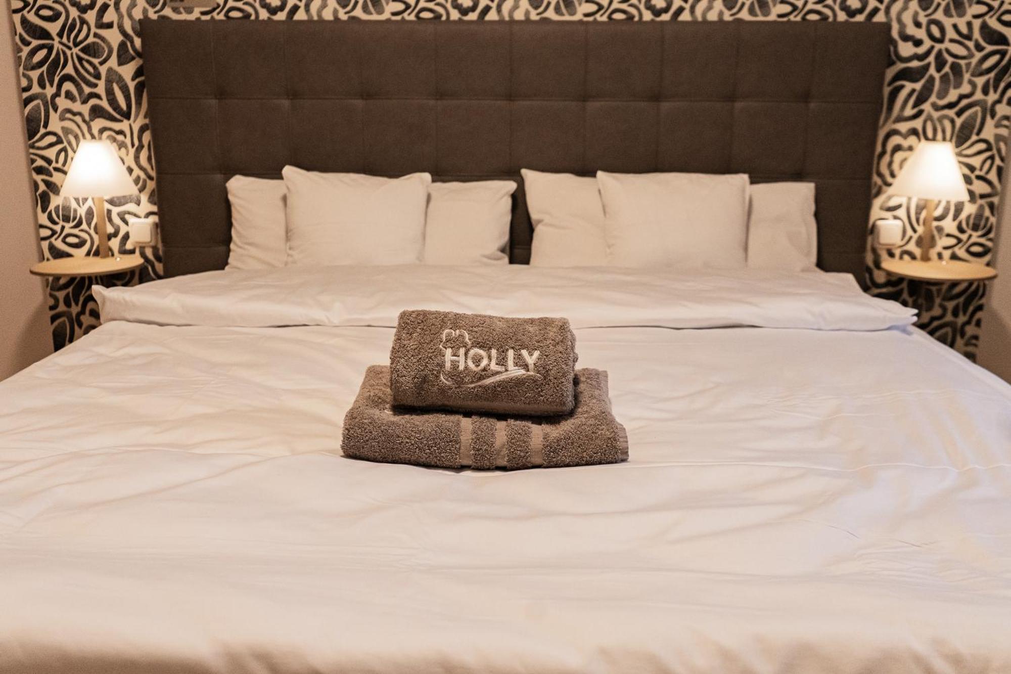 Holly Gmbh Ferienwohnungen บาดอเล็กซานเดอร์สบาด ภายนอก รูปภาพ